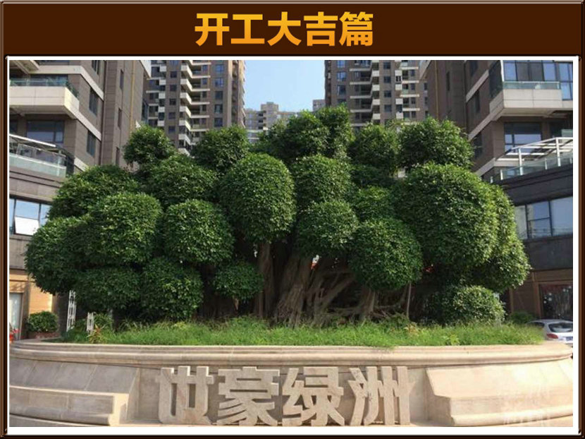 &#113;&#121;&#29699;&#21451;&#20250;&#45;&#40;&#21315;&#20159;&#41;&#95;&#23448;&#26041;&#32593;&#31449;